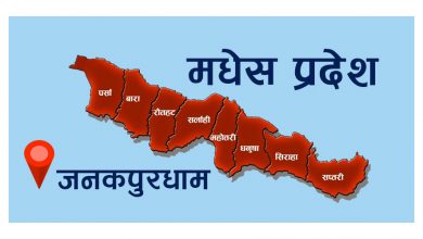 मधेश प्रदेशः सरकार बनाउन दुवै गठबन्धनलाई जनमत र स्वतन्त्र निर्णायक